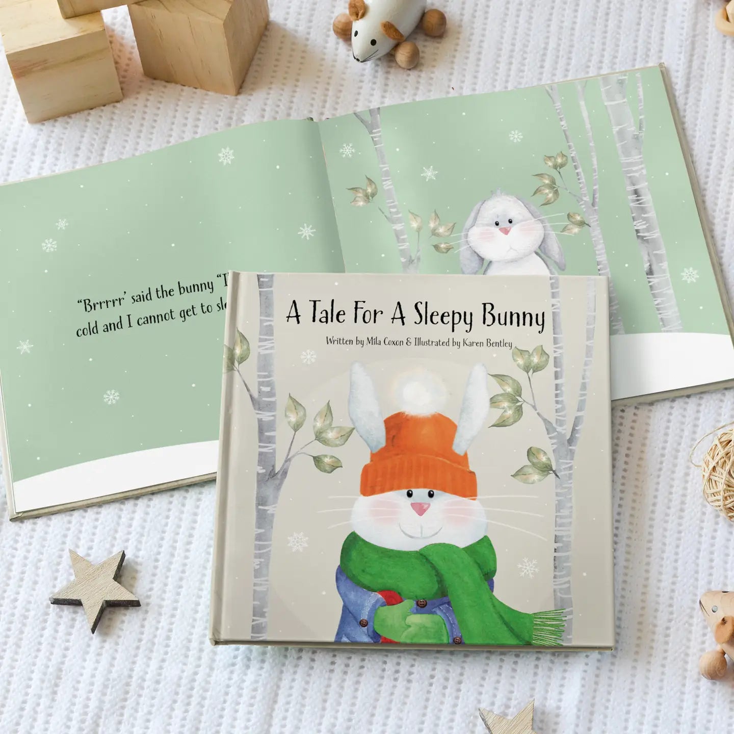 A Tale For A Sleepy Bunny Christmas Picture Book